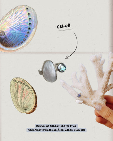 CELUK
