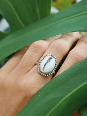 Anello “Uluwatu” - ARGENTO 🐚