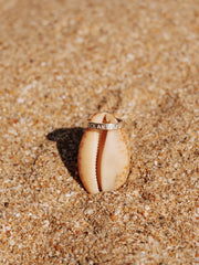 OCEAN MUSE