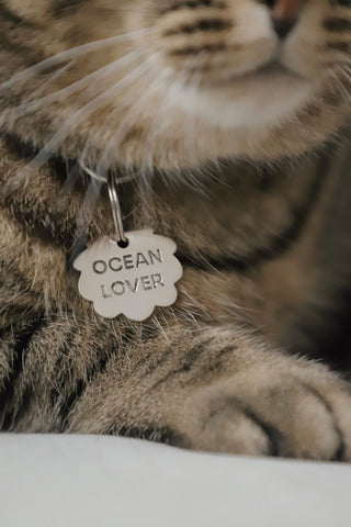✿ Médaillon Chat - Ocean Lover ✿