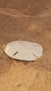 PURA