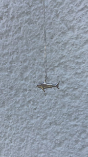 ⋒ Collier Sharky ⋒