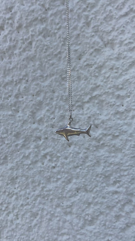 ⋒ Collier Sharky ⋒