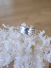 Anello Neree /Monsieur Salty