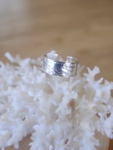 Anello Neree /Monsieur Salty